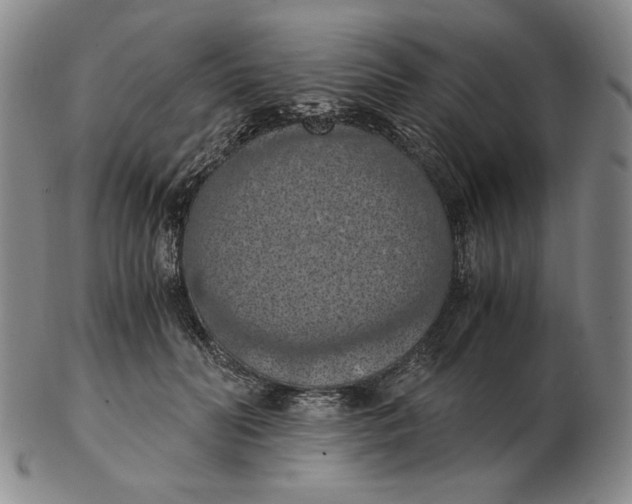 X0000103140606200809121755