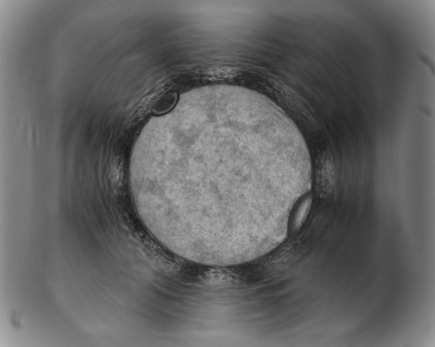 X0000103140608200809121755