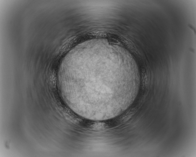 X0000103140609200809121755