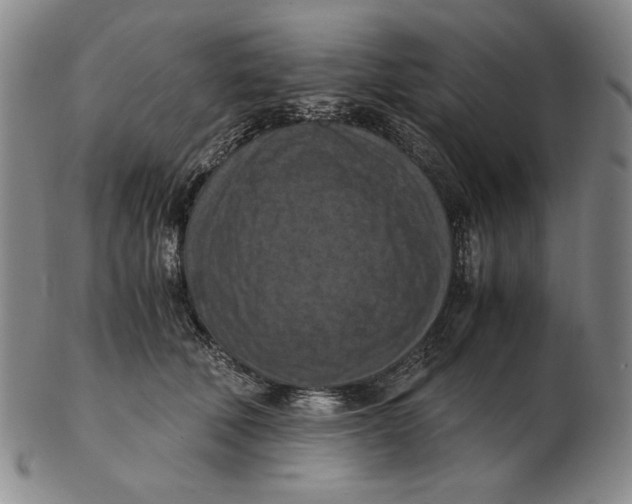 X0000103140610200809121755