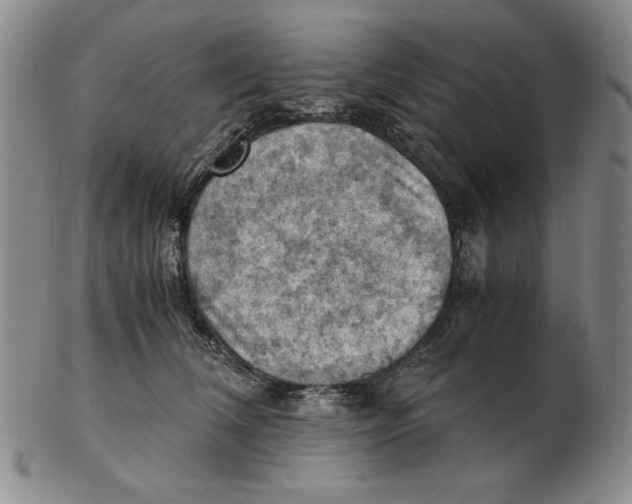 X0000103140612200809121755