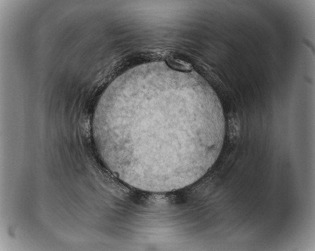 X0000103140613200809121755