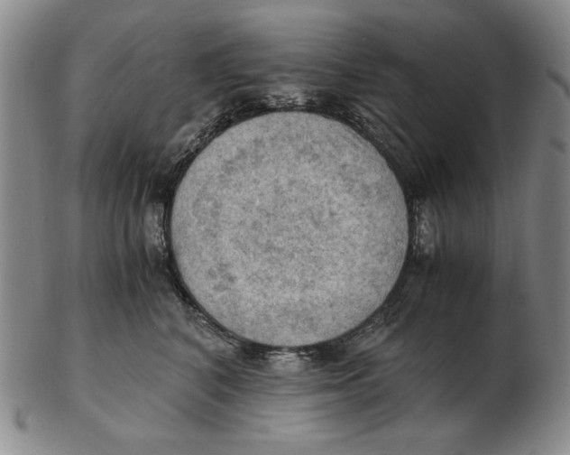 X0000103140616200809121755