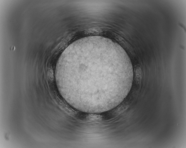 X0000103140617200809121755