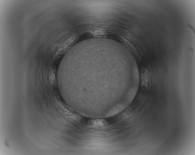 X0000103140618200809121755