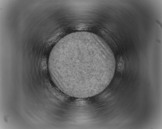 X0000103140620200809121755