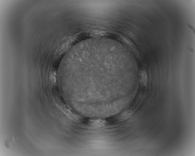 X0000103140621200809121755