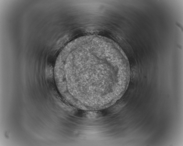 X0000103140623200809121755