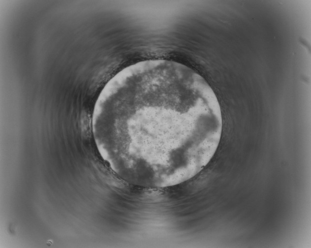 X0000103140624200809121755