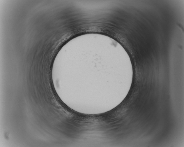 X0000103140625200809121754