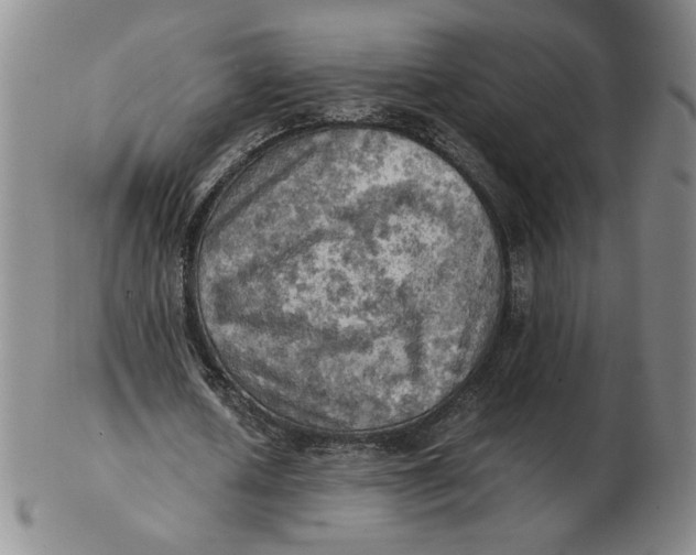 X0000103140626200809121754