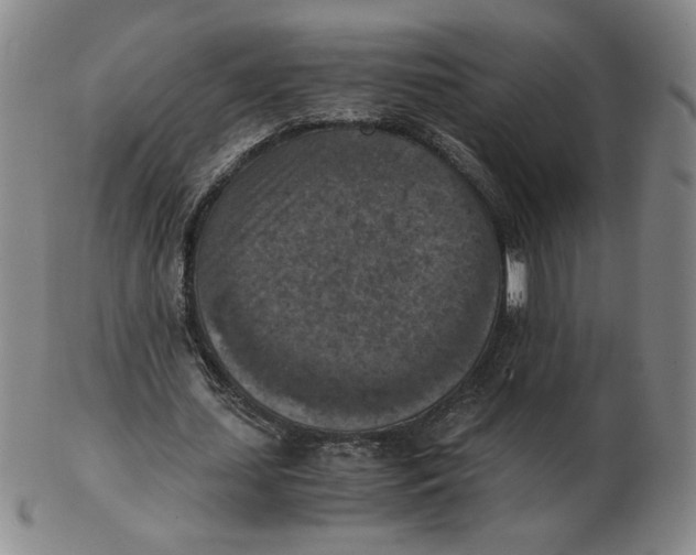 X0000103140627200809121754