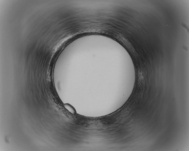 X0000103140628200809121754