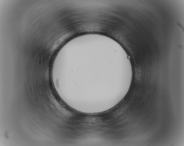 X0000103140629200809121754