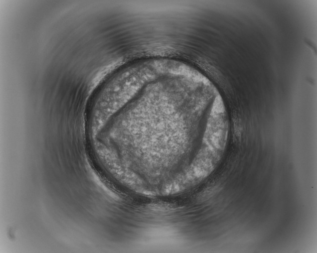 X0000103140630200809121754