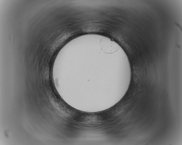 X0000103140631200809121755