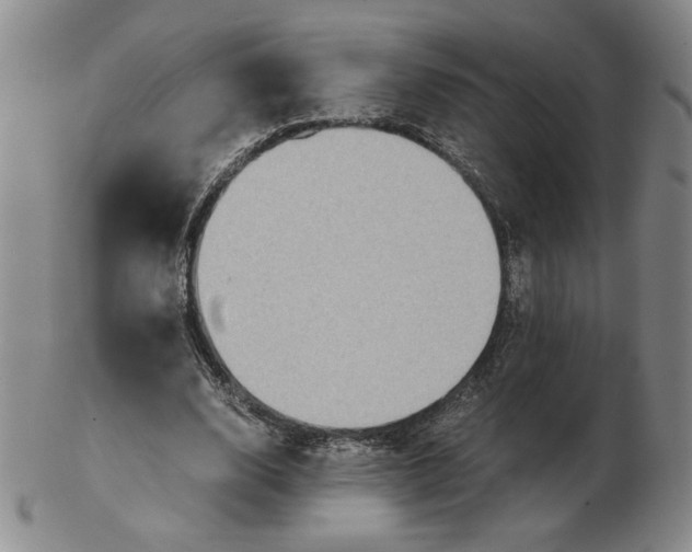 X0000103140632200809121755