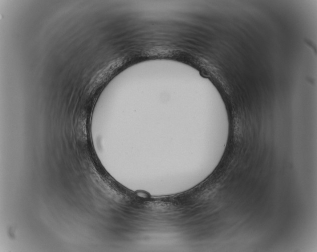 X0000103140633200809121755