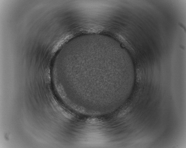 X0000103140634200809121755