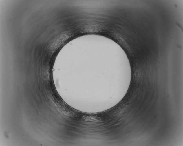 X0000103140635200809121755