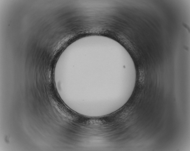 X0000103140636200809121755