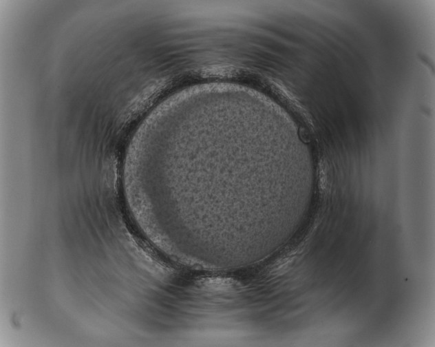 X0000103140637200809121755