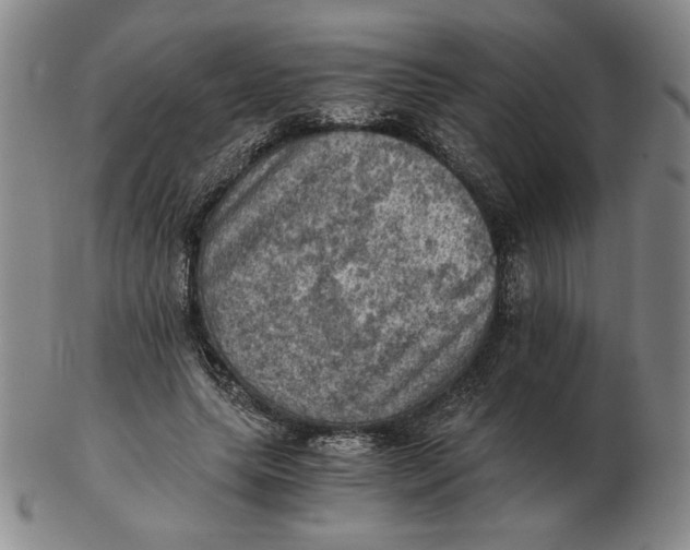 X0000103140639200809121755