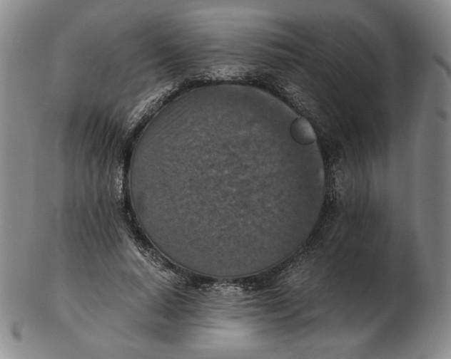 X0000103140640200809121755