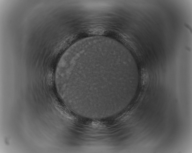 X0000103140641200809121755