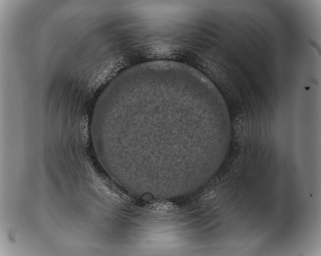 X0000103140642200809121755