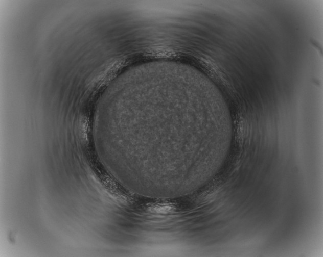 X0000103140643200809121755