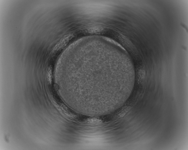 X0000103140644200809121755