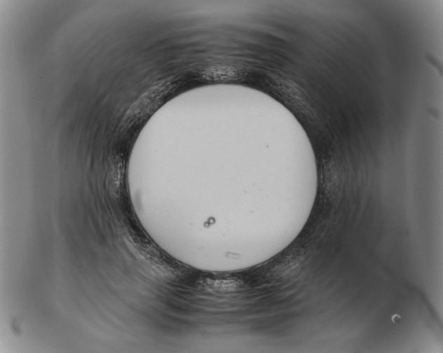 X0000103140645200809121755