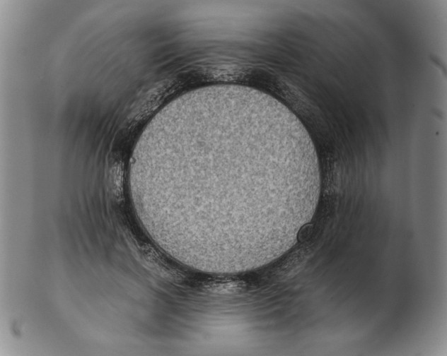 X0000103140646200809121755