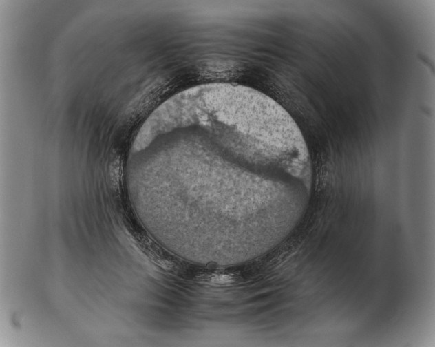 X0000103140647200809121755