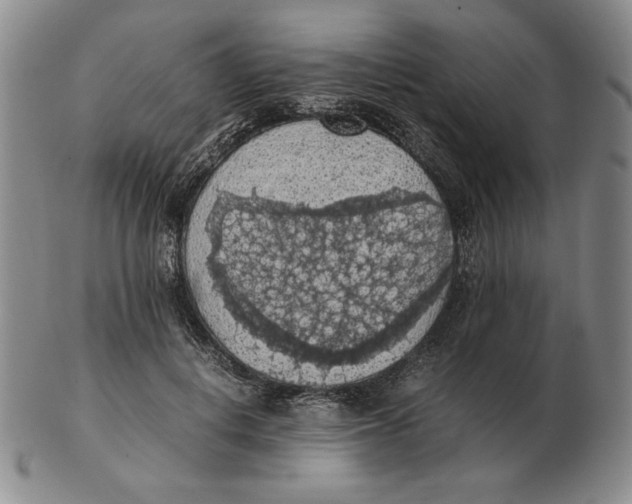 X0000103140648200809121755