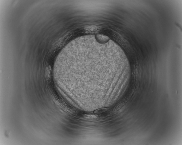 X0000103140649200809121755