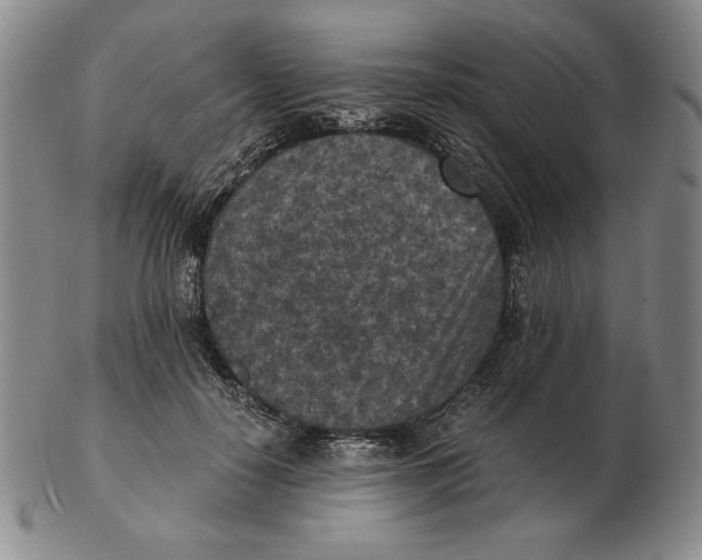 X0000103140650200809121755