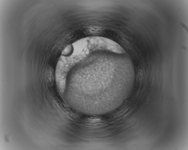 X0000103140651200809121755