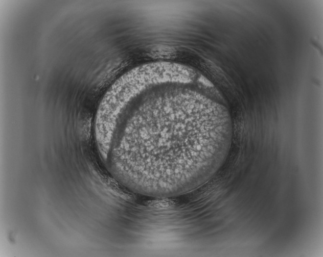 X0000103140652200809121755