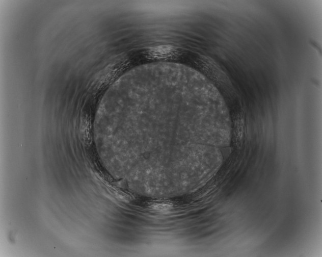 X0000103140653200809121755