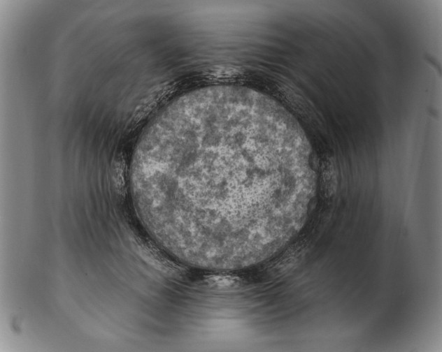 X0000103140654200809121755