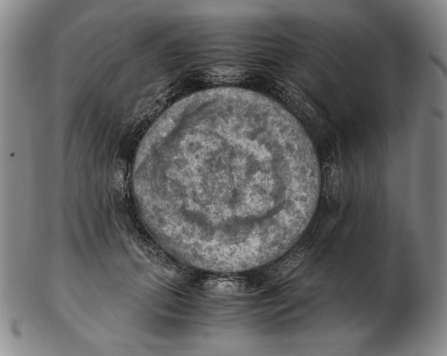 X0000103140655200809121755