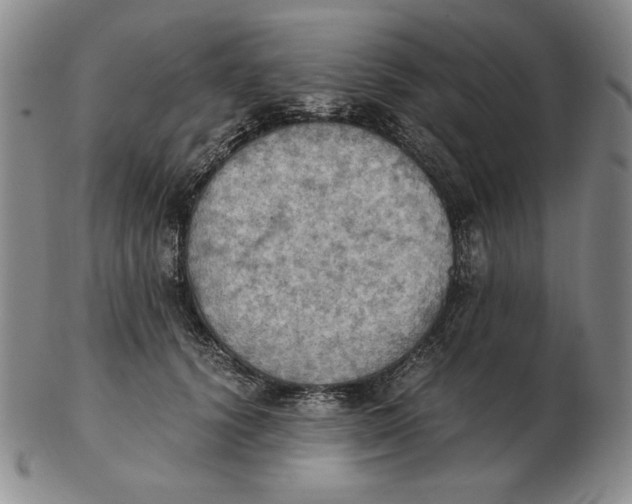 X0000103140656200809121755