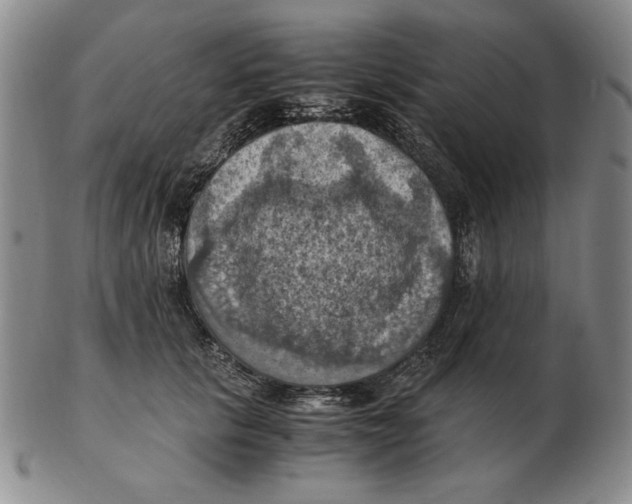 X0000103140657200809121755