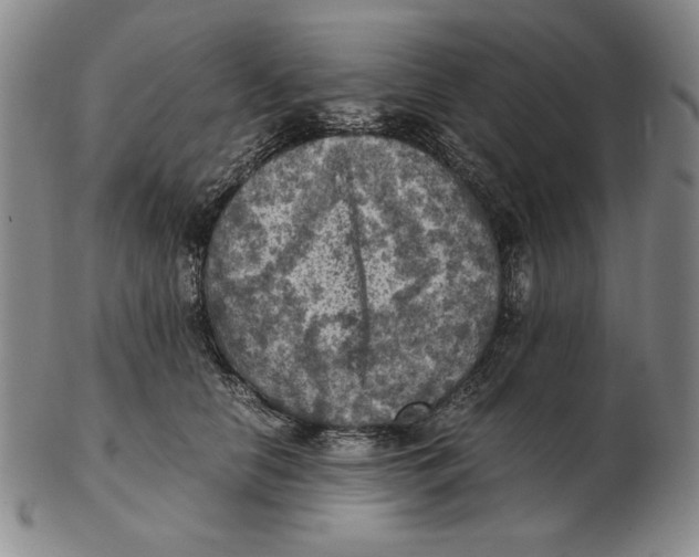 X0000103140658200809121755