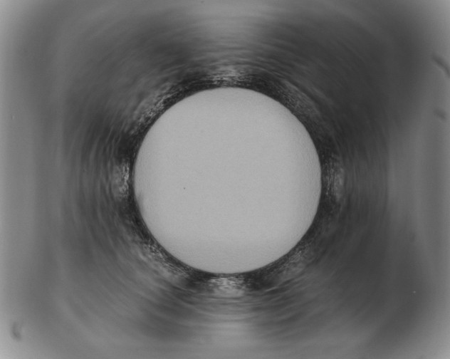 X0000103140660200809121755