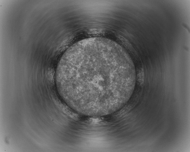 X0000103140662200809121755