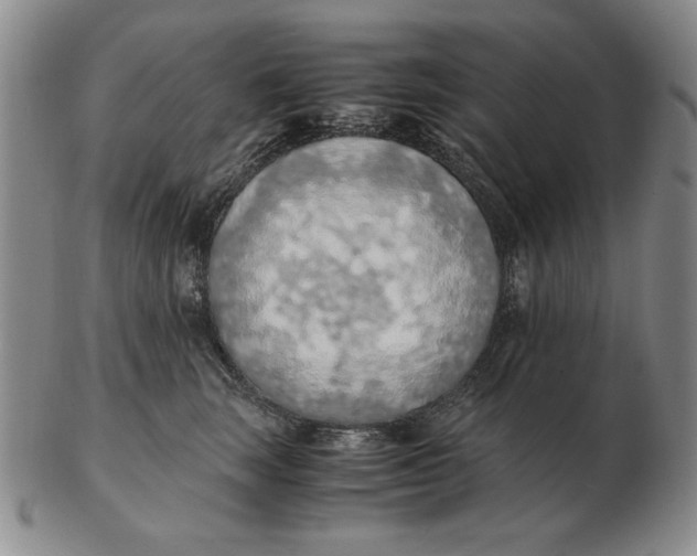 X0000103140663200809121755