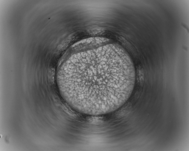 X0000103140664200809121755